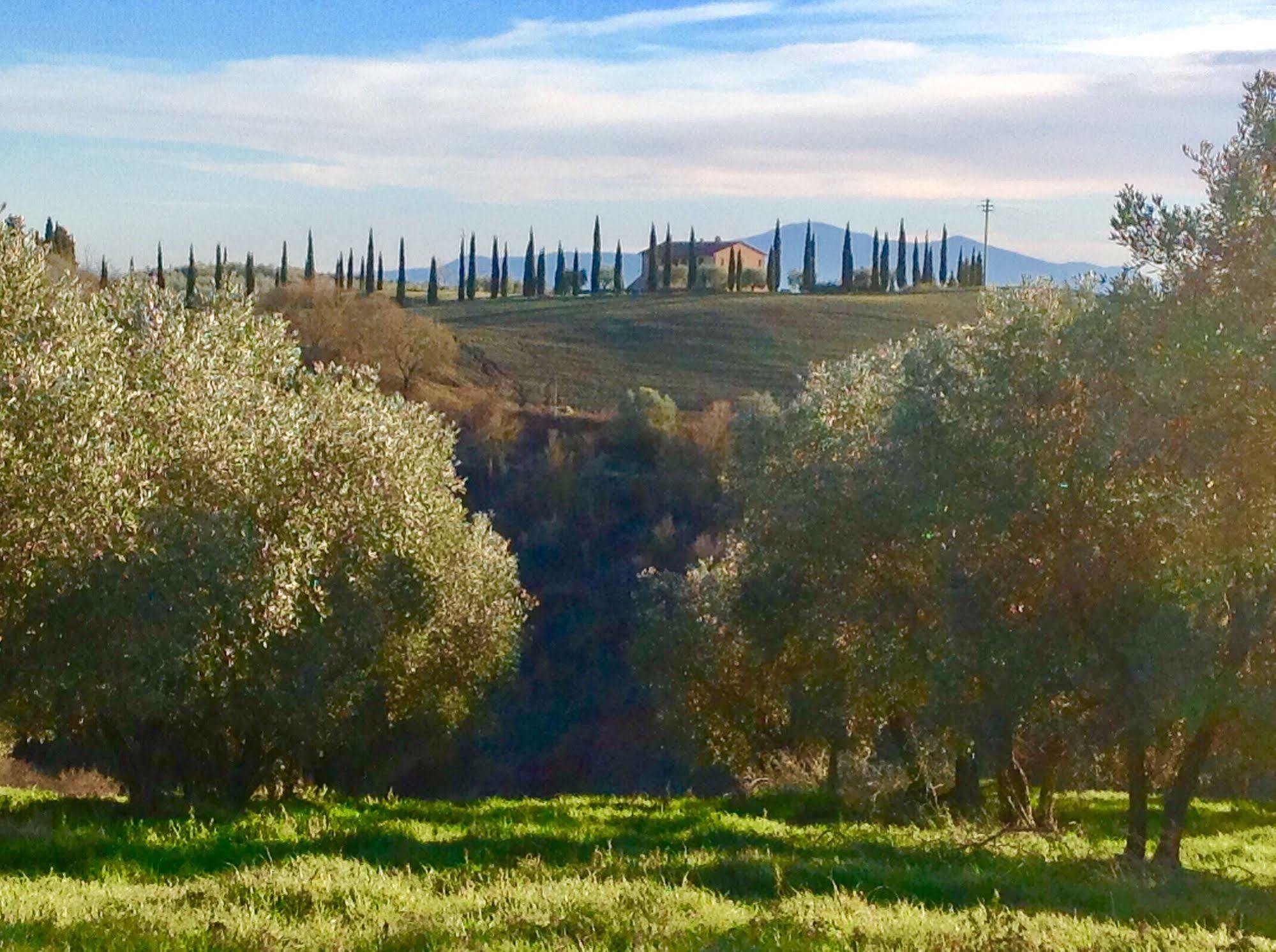 Podere Fornaci Asciano Bagian luar foto